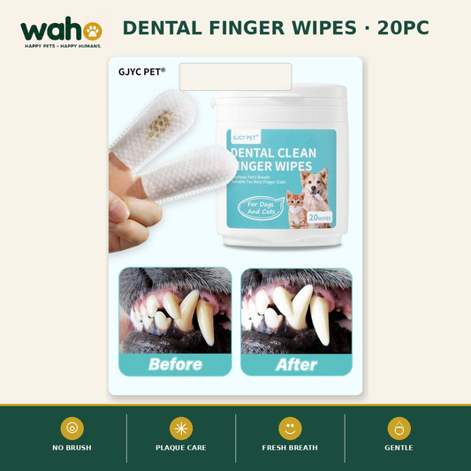 WAHO™ Dental Finger Wipes (20pc)
