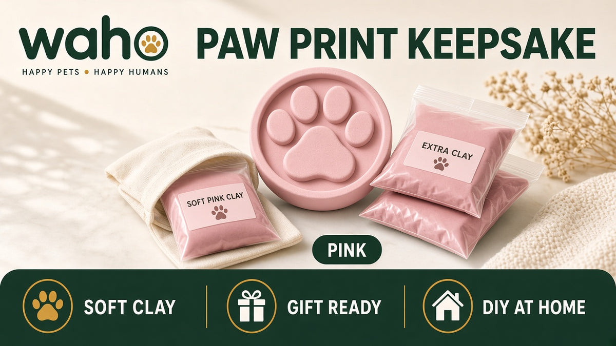 WAHO™ Pet Paw Print Keepsake Kit