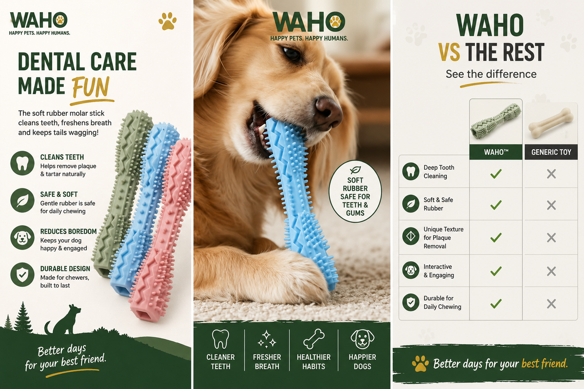 WAHO™ Dental Molar Chew Stick