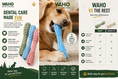 WAHO™ Dental Molar Chew Stick
