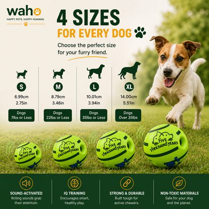 WAHO™ Interactive Rolling Sound Ball