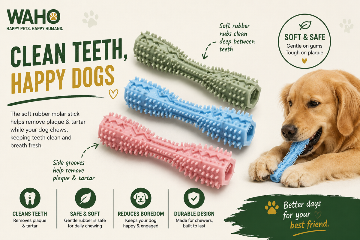 WAHO™ Dental Molar Chew Stick