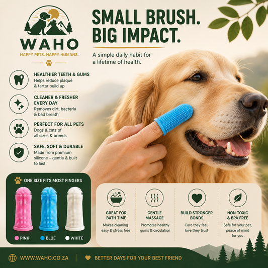 WAHO™ Paw-fect Smile Silicone Pet Toothbrush
