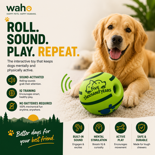 WAHO™ Interactive Rolling Sound Ball